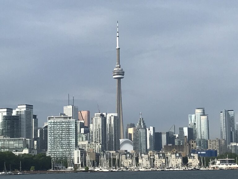 IMG 0316 800x600 1 768x576