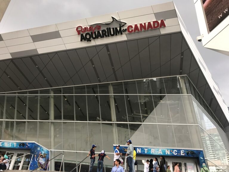 view3 800x600 1 768x576